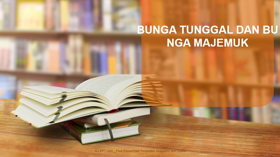 Bunga Tunggal dan Majemuk