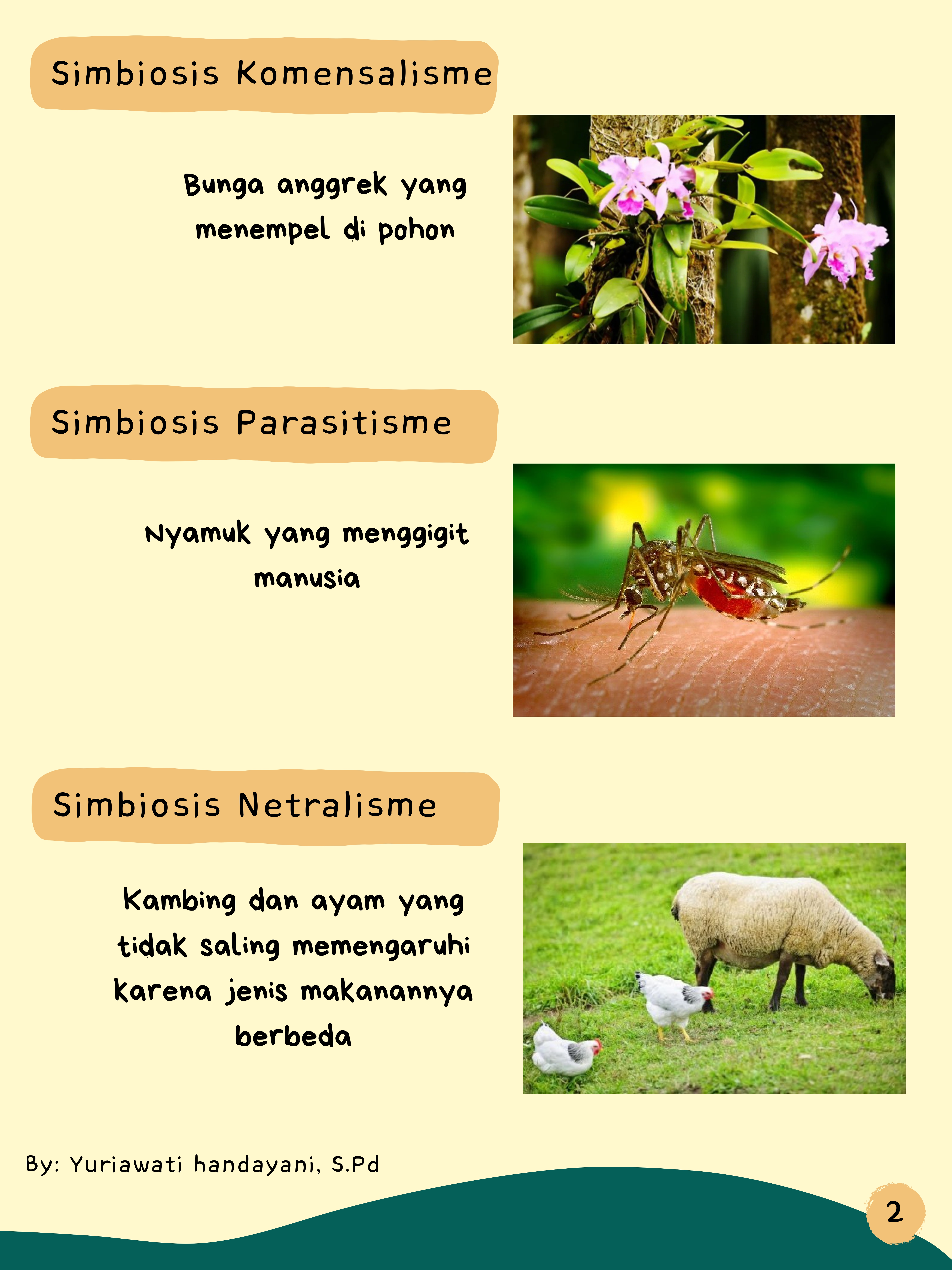 Interaksi antarkomponen biotik