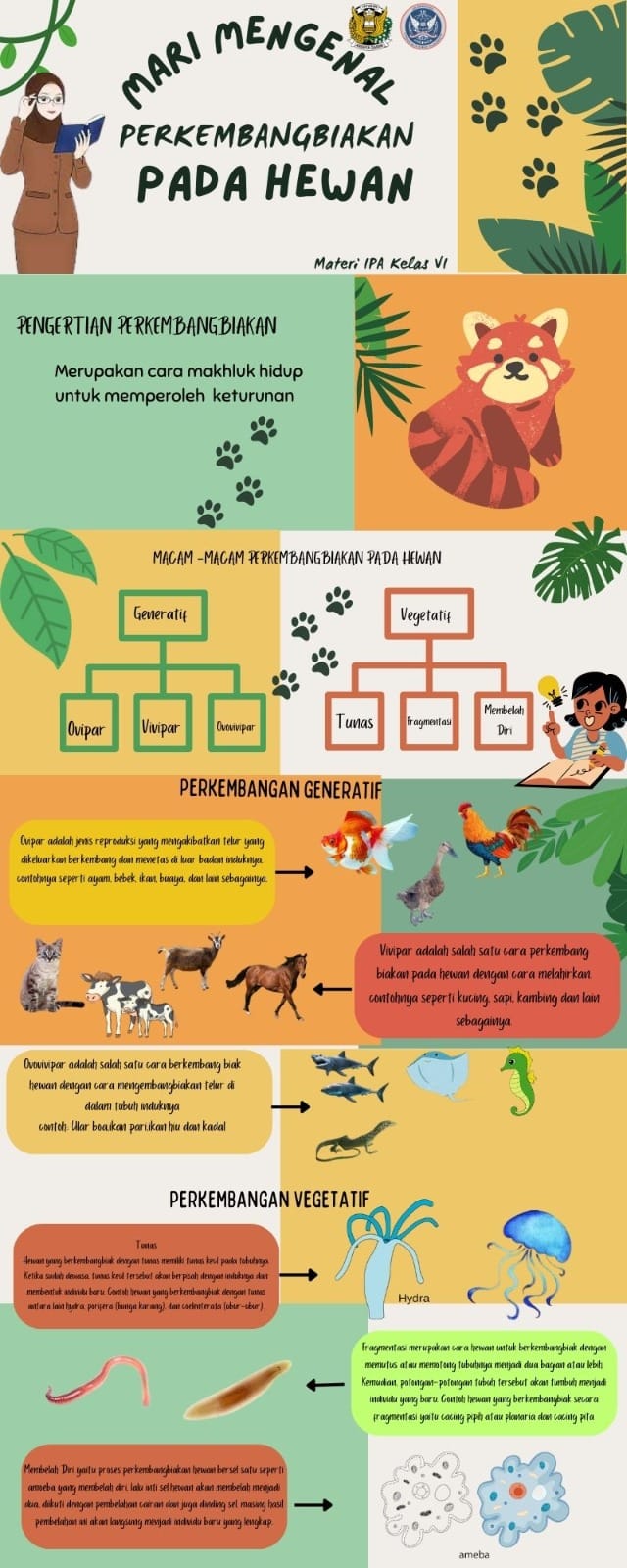 infografik Perkembangan hewan
